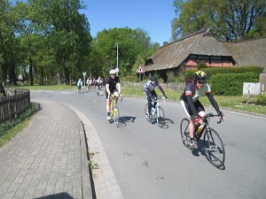 RTF Celle Rocky 612